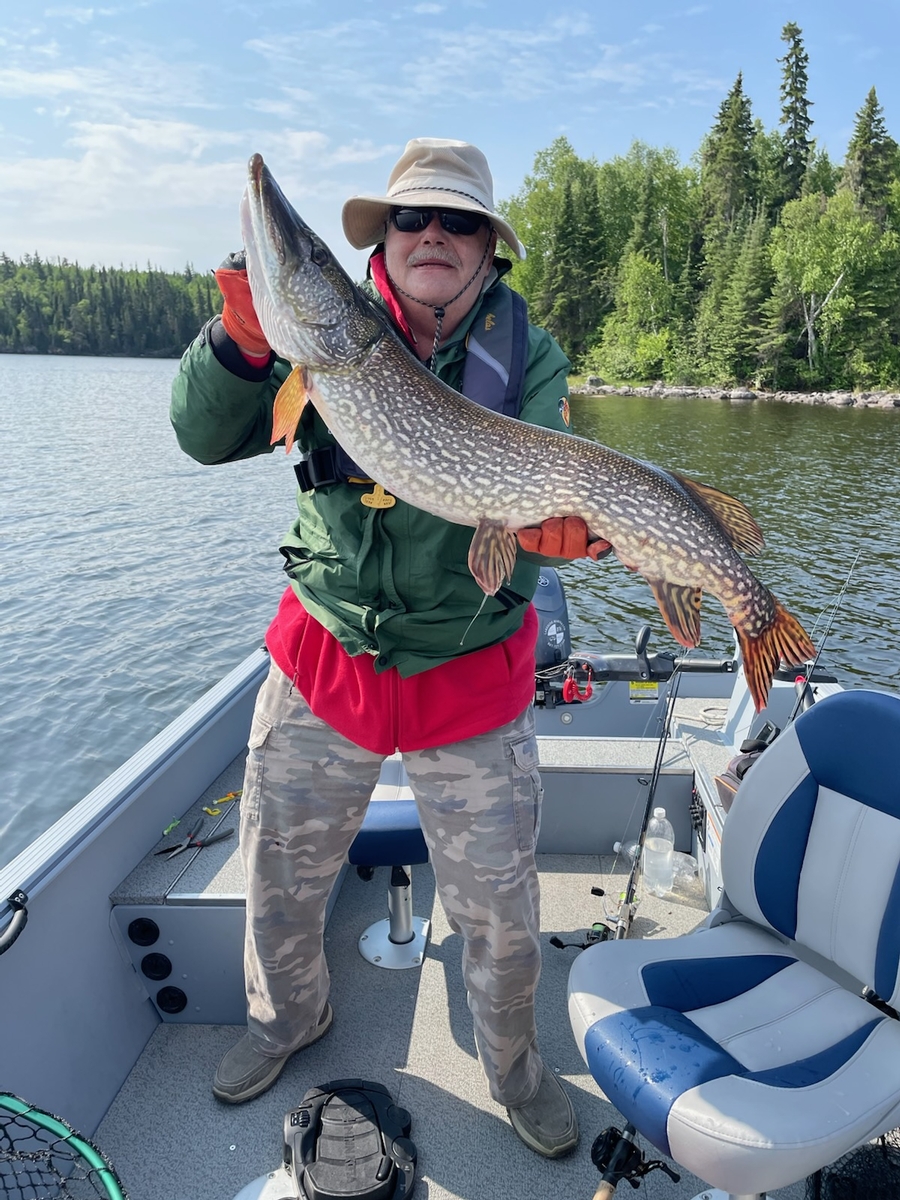 Northern Pike Northern Pike